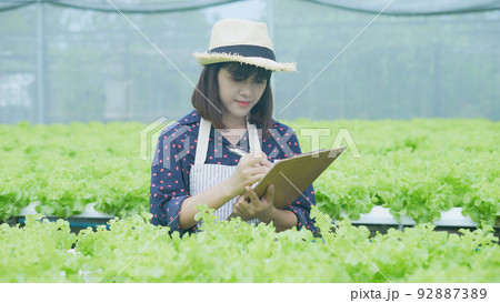agriculture concept of 4k Resolution. Workers are taking notes on the growth of trees. Gardener's Productivity Evaluation. agriculture concept of 4k Resolution. Workers are taking notes on the growth of trees. Gardener's Productivity Evaluation. 92887389