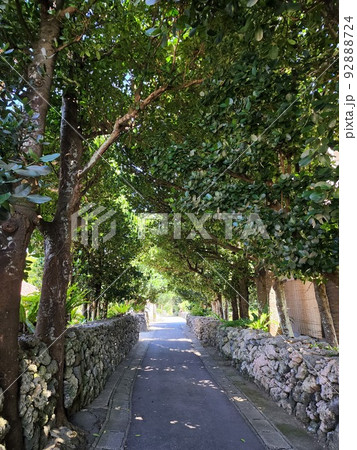 石垣島 琉球王国時代を感じる街並み 石垣島 琉球王国時代を感じる街並み 92888724