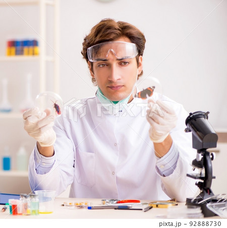 Male entomologist working in the lab on new species 92888730