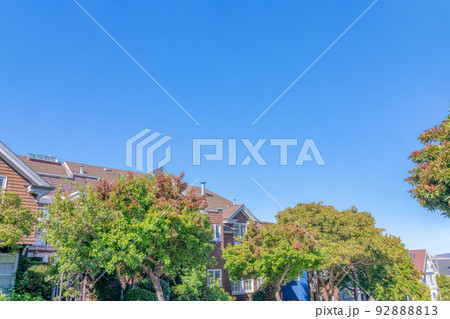 Sloped adjacent houses with trees at the front at San Francisco, California 92888813