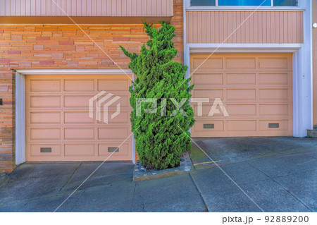 Identical garage doors of townhouses with shrub tree in the middle-San Francisco, CA 92889200