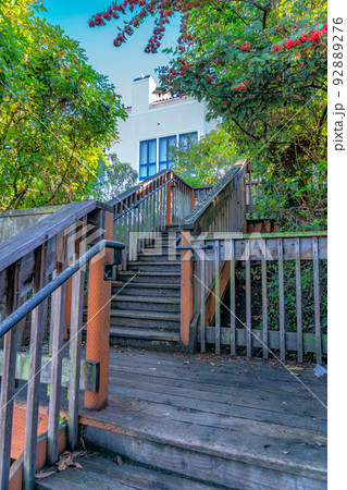 Outdoor wood staircase with landing near the trees on the side- San Francisco, CA Outdoor wood staircase with landing near the trees on the side- San Francisco, CA 92889276