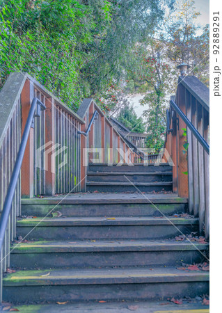 Outdoor wood stairs with moss stains and fallen leaves on the side of the steps- San Francisco, CA Outdoor wood stairs with moss stains and fallen leaves on the side of the steps- San Francisco, CA 92889291