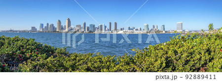 Cityscape over the shrubs at Coronado, San Diego, California 92889411