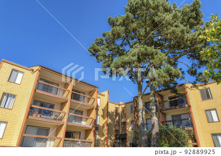 Complex apartment building with balconies and large treesat the front in San Francisco, CA 92889925