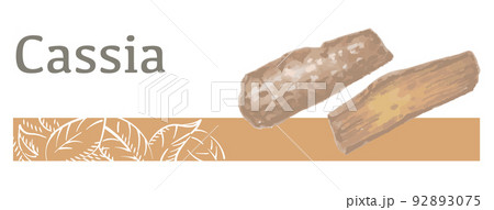 水彩風イラストを使ったカシア(シナモン)のラベル素材。 ベクターイラスト。 水彩風イラストを使ったカシア(シナモン)のラベル素材。 ベクターイラスト。 92893075