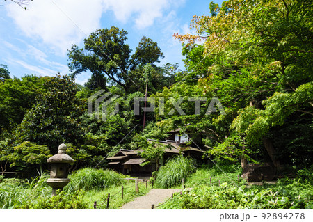三渓園の夏 92894278