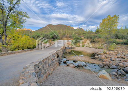 Stone bridge with a view of field of saguaros and mountain at Sabino Canyon State Park in Tucson, AZ Stone bridge with a view of field of saguaros and mountain at Sabino Canyon State Park in Tucson, AZ 92896039