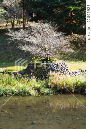 万之瀬川の秋 岩屋公園 万之瀬川の秋 岩屋公園 92896923