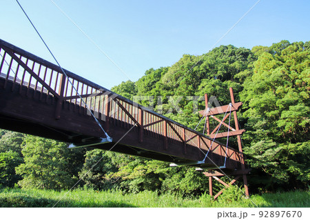 泉の森にある緑のかけ橋 泉の森にある緑のかけ橋 92897670