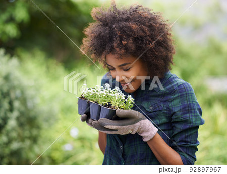 Time to get you in the ground. Shot of a happy young woman holding a tray of seedlings for the garden. 92897967