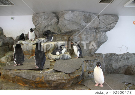 大阪天保山の海遊館 大阪天保山の海遊館 92900478