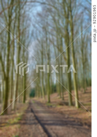 Blurred view of a secret and mysterious dirt road in a countryside leading to a magical forest where adventure awaits. Quiet scenery with hidden path surrounded by tall trees and grass Blurred view of a secret and mysterious dirt road in a countryside leading to a magical forest where adventure awaits. Quiet scenery with hidden path surrounded by tall trees and grass 92901965