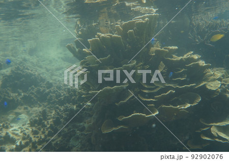 沖縄の海 沖縄の海 92902076