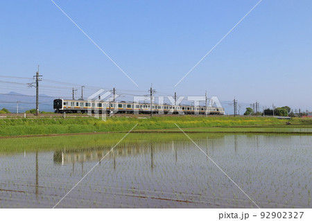 初夏の田んぼと宇都宮線E131系（6両編成：宇都宮⇔黒磯） 92902327