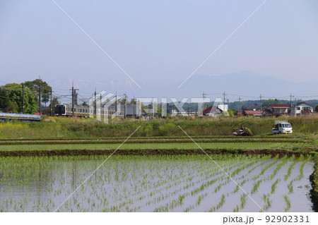 初夏の田んぼと宇都宮線E131系（6両編成：宇都宮⇔黒磯） 92902331