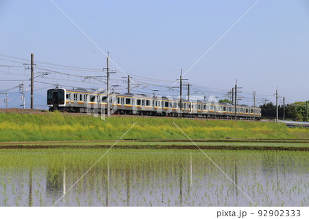 初夏の田んぼと宇都宮線E131系(6両編成:宇都宮⇔黒磯) 初夏の田んぼと宇都宮線E131系(6両編成:宇都宮⇔黒磯) 92902333