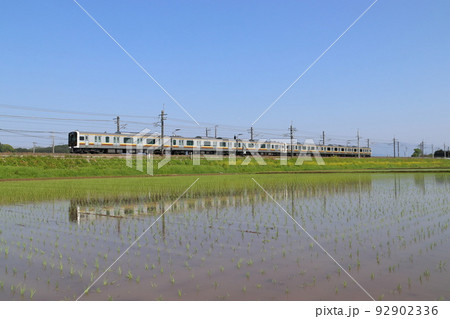 初夏の田んぼと宇都宮線E131系（6両編成：宇都宮⇔黒磯） 92902336