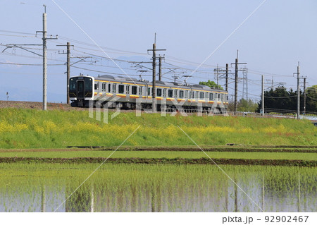 初夏の田んぼと宇都宮線E131系（3両編成：宇都宮⇔黒磯） 92902467