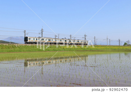 初夏の田んぼと宇都宮線E131系（3両編成：宇都宮⇔黒磯） 92902470