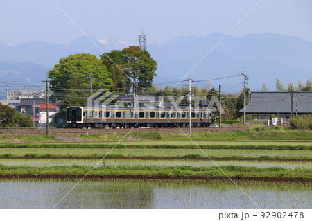 初夏の田んぼと宇都宮線E131系（3両編成：宇都宮⇔黒磯） 92902478