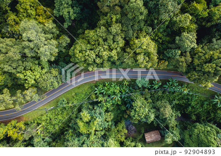 Aerial view of green summer tree and forest with a road 92904893