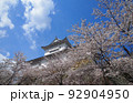 お城と桜 92904950