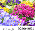 お花 92904951