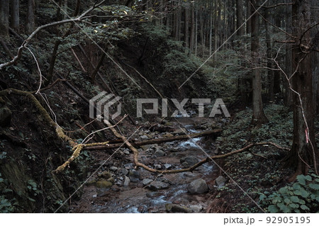 福島県大熊町の山奥を流れる小川の写真 福島県大熊町の山奥を流れる小川の写真 92905195