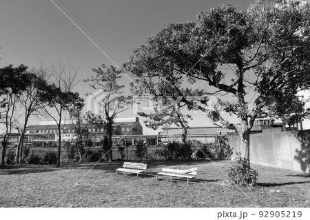 扇町緑地 92905219