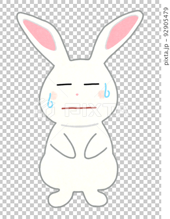 Illustration of a rabbit with a troubled face Outline = partly solid line & color white rabbit Illustration of a rabbit with a troubled face Outline = partly solid line & color white rabbit 92905479