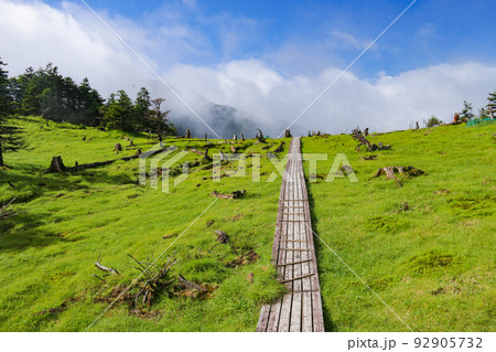南アルプス南部 聖平の風景 日本 南アルプス南部 聖平の風景 日本 92905732