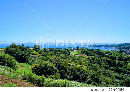 三浦半島・金田地区の高台と金田湾【神奈川県三浦市】 三浦半島・金田地区の高台と金田湾【神奈川県三浦市】 92906644