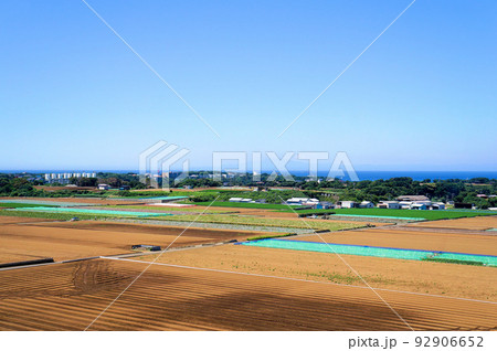 三浦半島・三戸地区の風景と相模湾【神奈川県三浦市】 92906652