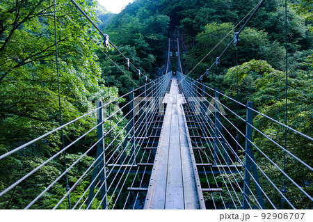 南アルプス　椹島千枚岳登山口　千枚大吊橋 92906707