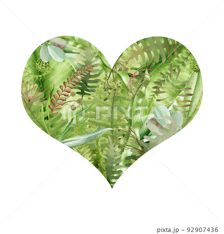 Heart shape made of green leaves. Watercolor illustration. Heart made of greens. Hand drawn wild forest herbs, fern, leaves. White background 92907436