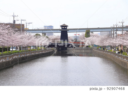 新川千本桜の起点 火の見櫓(ひのみやぐら) 東京都江戸川区 新川千本桜の起点 火の見櫓(ひのみやぐら) 東京都江戸川区 92907468