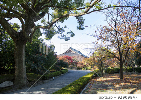 紅葉の東寺 92909847