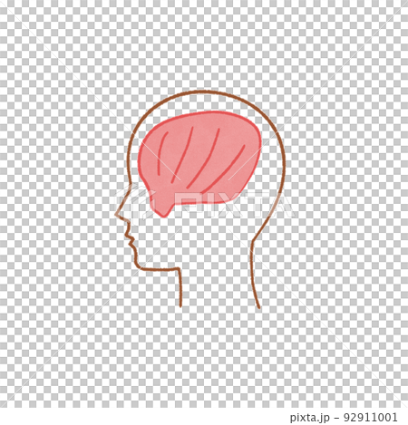 筋肉の簡単な図　側頭筋 92911001