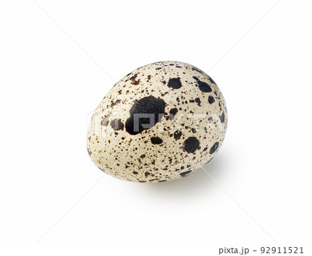 うずらの卵 92911521