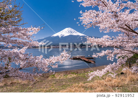山梨県》富士山と満開の桜・河口湖の写真素材 [92911952] - PIXTA