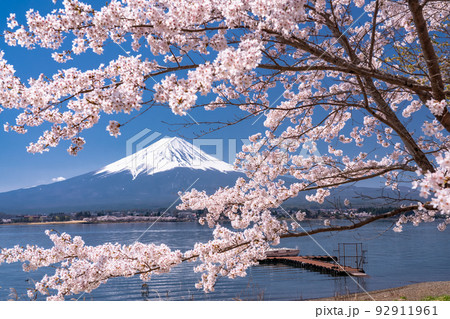 河口湖の富士と満開の桜 河口湖の富士と満開の桜