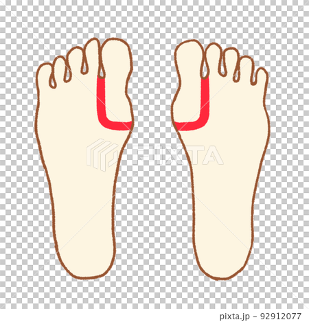 足つぼの簡単な図　甲状腺 92912077