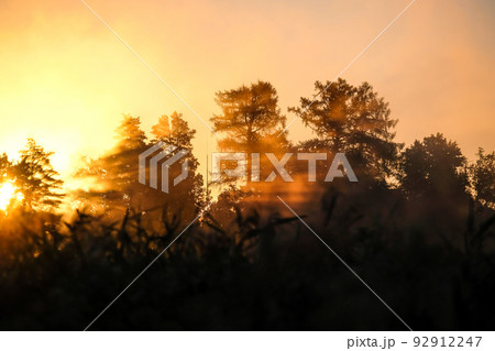 Very beautiful sunrise in summer over a foggy lake. Early morning in summer in nature. Defocused Very beautiful sunrise in summer over a foggy lake. Early morning in summer in nature. Defocused 92912247