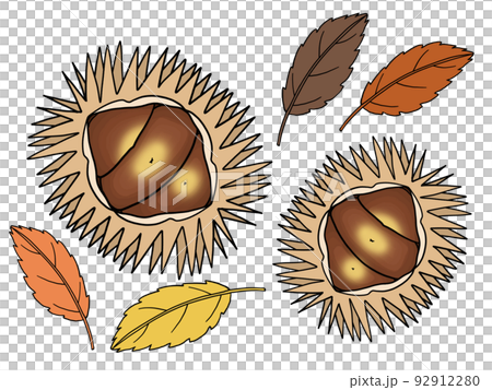 Illustration of chestnuts and autumn leaves 92912280