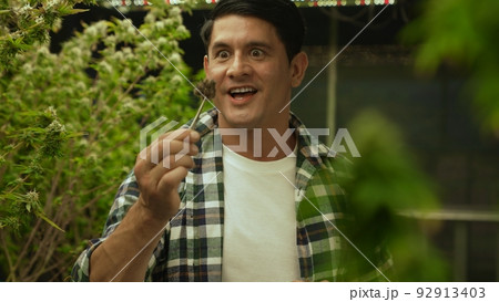 Marijuana farmer tests marijuana buds in curative marijuana farm Marijuana farmer tests marijuana buds in curative marijuana farm 92913403