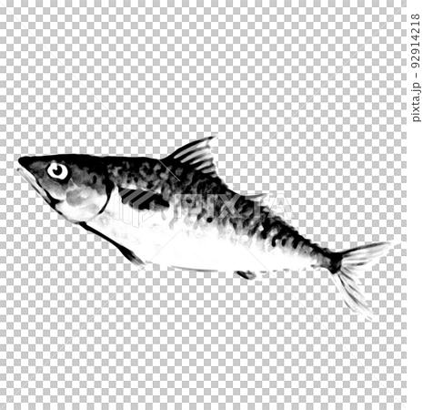 Gyotaku touch mackerel one tail [watercolor painting] white background transparent background PNG 92914218