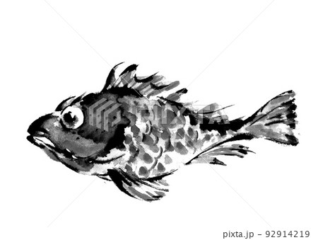 魚拓タッチのカサゴ モノトーン【手描き水彩画】白バック 透過背景 PNG 92914219