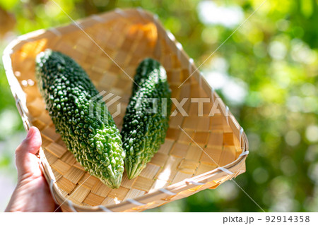 夏野菜　物撮り　ゴーヤー 92914358