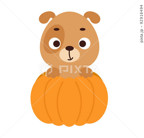 Cute little dog sitting in a pumpkin. Cartoon animal character for kids t-shirts, nursery decoration, baby shower, greeting card, invitation. Vector stock illustration Cute little dog sitting in a pumpkin. Cartoon animal character for kids t-shirts, nursery decoration, baby shower, greeting card, invitation. Vector stock illustration 92916494